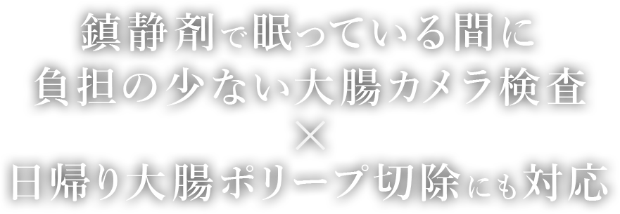 鎮静剤で眠っている間に 負担の少ない大腸カメラ検査 日帰り大腸ポリープ切除にも対応